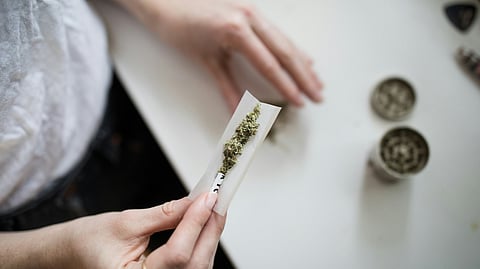Research on the perception of risk from using cannabis among vulnerable populations such as those with disabilities is lacking. (Representational Image: Unsplash)