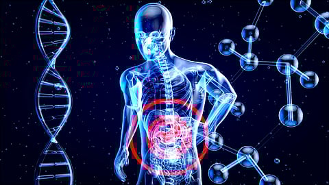 Today, the gut microbiota is known to house over 100 trillion bacteria, forming a complex ecosystem that plays essential roles in immune function, vitamin production, brain health, and emotional stability. (Representational Image: Unsplash)