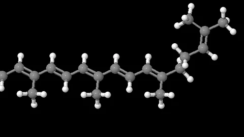 Researchers have discovered a protein marker to help identify cells able to repopulate in patients with damaged blood vessels.(Representational image: Wikimedia Commons)