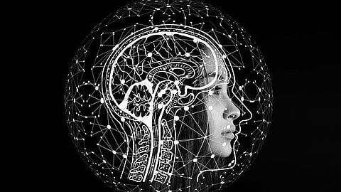 Scientists studying the brain often rely on publicly available catalogs of genes and gene transcripts. (Representational image: Pixabay)