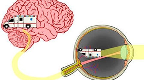 The medical team performed various diagnostic tests, such as blood tests, X-rays, and scans, after obtaining Rao's consent. (Representational image: Wikimedia commons)