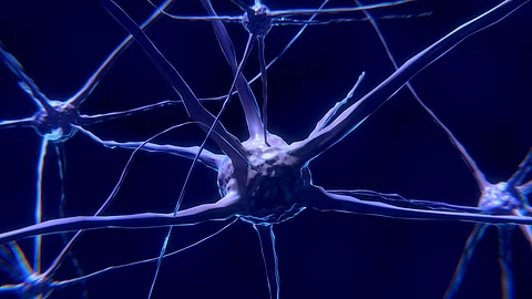 Huntington’s disease is a rare, incurable genetic disease that causes a gradual death of nerve cells, resulting in a variety of symptoms affecting movement, emotions and cognition.
(Representational Image: Pixabay)