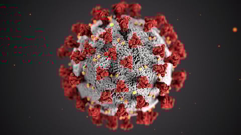 3D illustration of the virus, showcasing its structure with spikes and a spherical shape against a neutral background.