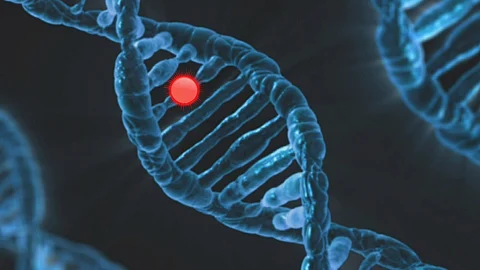 Clinical guidelines are changing to include more people eligible for genetic testing. The tests themselves are including more genes that could help guide not only treatment but follow-up care and screening. Results can also impact family members who may also be at increased risk of cancer.