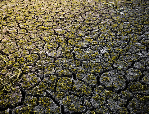 Heatstroke is caused when the body's temperature goes above 40.6 C.