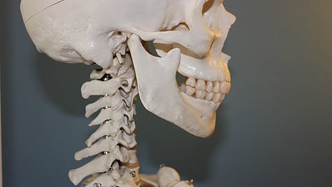 For patients with cervical radiculopathy, posterior foraminotomy provides outcomes comparable to those of the more commonly performed anterior cervical discectomy, reports a randomized clinical trial in The Journal of Bone & Joint Surgery.