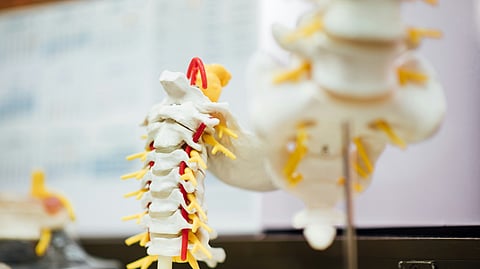 Researchers reported the detection of signals from white matter in the spinal cord in response to a stimulus.
(Representational Image: Unsplash)