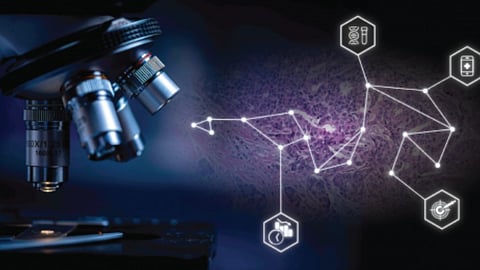 A new generation of artificial intelligence (AI) tools designed to allow rapid, low-cost detection of clinically actionable genomic alterations directly from tumour biopsy slides has been developed