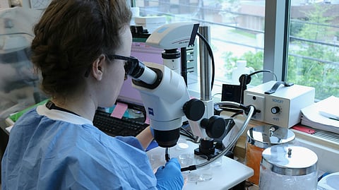 Researchers of St. Jude Department of Pharmacy and Pharmaceutical sciences and oncology working on influence of age on treatment of B-ALL (Representational Image: Unsplash)