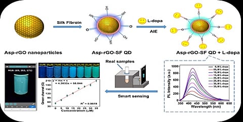 Eco-friendly synthesis of silk fibroin-coated aspartic acid-reduced graphene oxide quantum dots, enabling smartphone-based rapid detection of L-dopa in various biological fluids. (PIB)