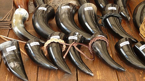 A far-reaching study has finally put to rest the lingering myth that rhino horn has medicinal value.
(Pixabay)