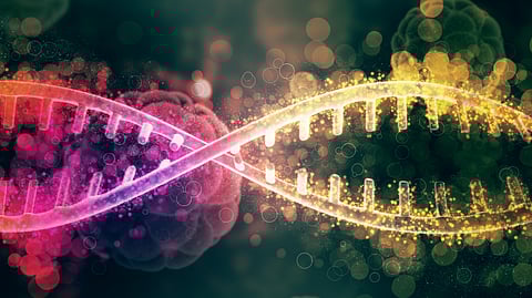 “Parasite” DNA sequences have three potential functions in the development of T (for thymus) lymphocytes. (Representational Image: Pixabay)