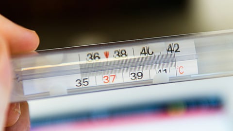 Preliminary investigations suggest a viral or bacterial infection, but the exact cause of the fever remains unknown
(Representational image: Unsplash)