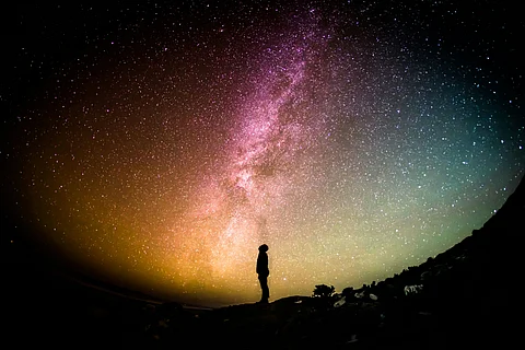 The emergence of new multicellular life forms from the cells of a dead organism suggests a "third state" (Unsplash)