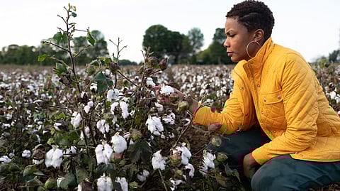 KFF Health News journalist Cara Anthony has been covering racism and the ways it
can affect people’s health for years. Most recently, she has been working on a
documentary film and podcast called “Silence in Sikeston.” (Michael B. Thomas for KFF Health News)