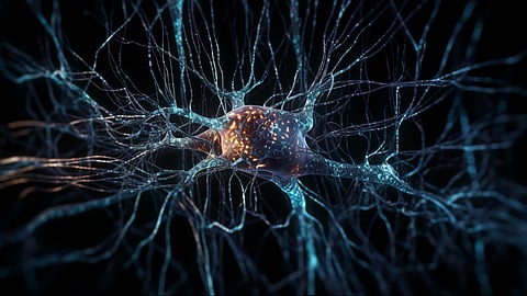With Multiple sclerosis, the body’s immune system attacks myelin, the fatty, white substance that insulates and protects the nerves.(Representational Image by djvstock on Freepik)