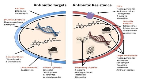 India pushes for global cooperation on AMR, calling for urgent action to prevent this growing public health threat. (Wikimedia Commons)