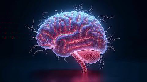Human brain, cranial radiations and neurocognitive functions