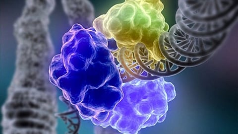 Breakthroughs in DNA repair for transforming the lives of Huntington’s disease patients. (wikimedia common)