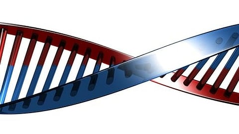 India's Genomic Revolution: India has developed its own genomic data set, a monumental achievement that will fuel future medical and scientific breakthroughs. (Representational Image: freeimages.com)