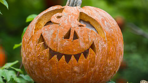 Pumpkin carving is a fun fall tradition. (Wikimedia Commons)