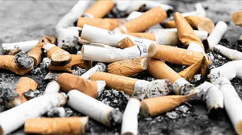 The etiology of oral OSMF is strongly associated with the use of tobacco and betel nut.
( CDS UNSPLASH)