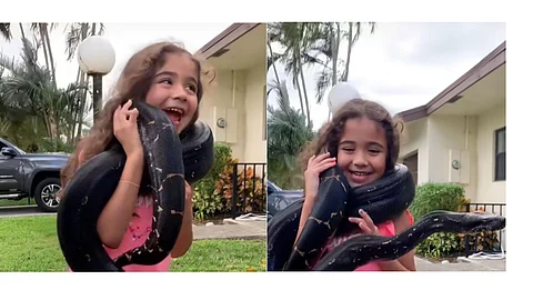 Viral video shows young girl handling a giant snake, triggering online backlash over safety concerns. (Photo Credit @ @snakemasterexotics/Instagram)