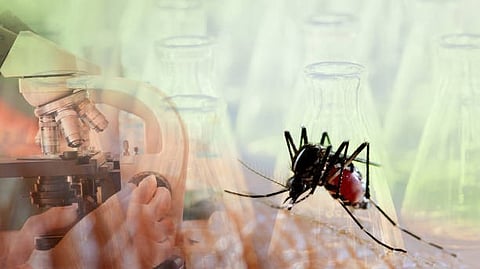 Three dengue-related deaths have been recorded, and 643 malaria cases have been reported, the highest in five years. (Representational Image: Unsplash)