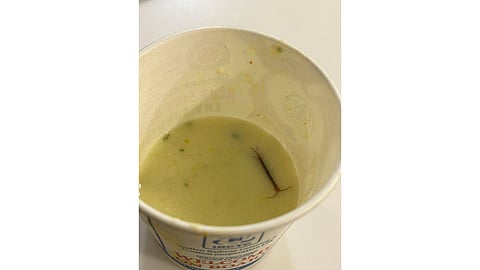 IRCTC faces criticism after a passenger finds a live centipede in his raita at a VIP lounge, underscoring long-standing issues with food hygiene in Indian Railways.
(Image from Twitter / X account : @aaraynsh)