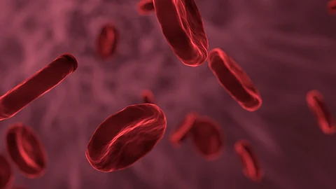 Myeloid Cancer advancements