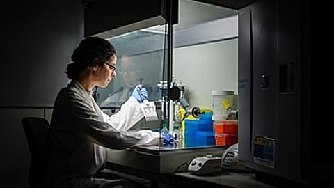 Researchers in Berlin discover that malfunctioning p53 genes fuel ulcerative colitis progression, offering new therapeutic strategies. (Representational Image-Wikimedia Commons)