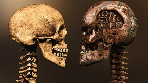 A Journey Through the Spine