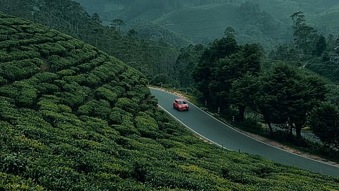 Mumbai's green corridor transports Heart