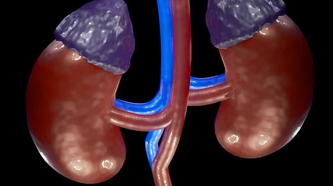 A nine-year-old boy with chronic kidney disease has been given a new lease on life after undergoing a successful kidney transplant. (Representational Image: Pixabay)