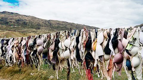 Don't Skip Your Mammogram.
(CDC UNSPLASH)