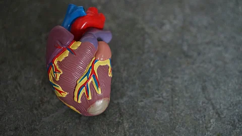 After driver suffers heart attack, BMTC conductor Obalesh takes over, averts potential tragedy
(Representational Image: Unsplash )