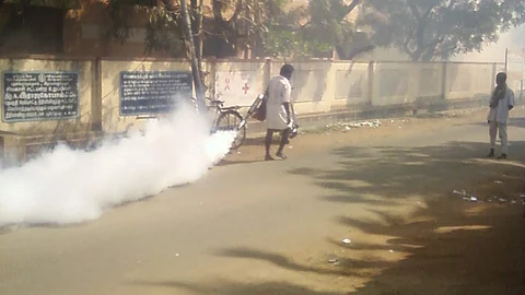 Delhi battles a dengue surge with over 4,500 cases reported this year. MCD intensifies mosquito control measures across zones. (Representational Image-Wikimedia Commons)