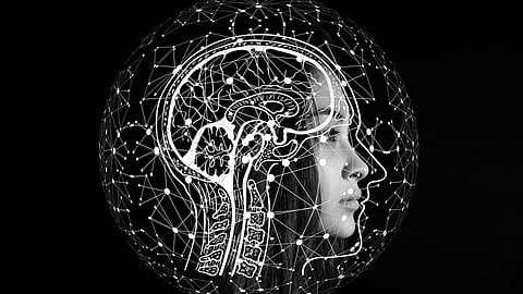 Artificial intelligence (AI) is inspired by the human brain. Scientists are working on creating an artificial brain that has cognitive abilities similar to those of the animal or human brain.
(pixabay)