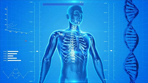The AI also caught 11 cases doctors had missed. (Image: Pixabay)