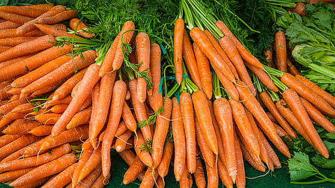 E. Coli Warning: Major Carrot Recall Affects Consumers Nationwide. (Image: Pixabay)