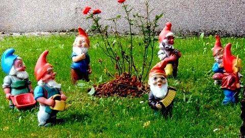 A 2 kg MDMA garden gnome was discovered during a Dutch drug raid, leaving police and the internet stunned. (Representational Image-Wikimedia Commons)