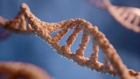 Researchers discovered that a chemical alteration on a single protein, histone H3, is essential for controlling the genes that help cells remember their own identity and function. (Unsplash)