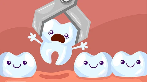 Tooth Missing? No Worries—It Might Just Regrow Like It Never Left! (Image: Freepik)