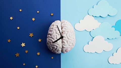 Image of brain in the day and night