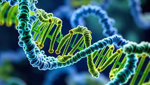 Unlocking new potential for siRNA therapies through innovative ALAS1 research (Representational image: Freepik)