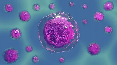 In one instance, the scientists were able to spur the stem cells to generate a large, heart-like structure (Representational image: Pixabay)