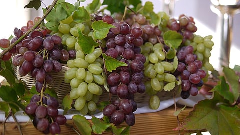 In the days leading up to New Year’s Eve, grapes saw an unexpected surge in demand, even going out of stock on some platforms. (Pixabay)