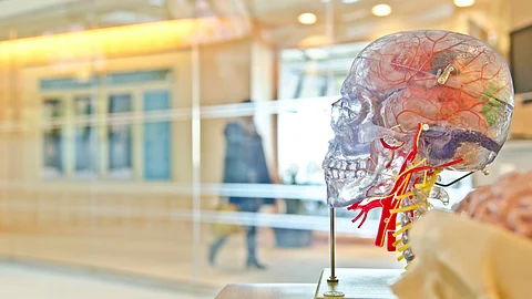 Findings might have a significant role in certain medications in avoiding dementia and improving brain health
(Representational Image: Unsplash)