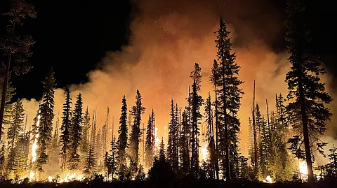 As California wildfires continue into the winter, storm survivors clean up the damage caused by floods.
(Representational image: Wikimedia Commons)