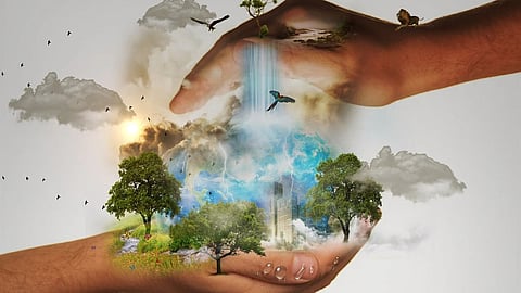 Over 1,500 species of rodents and about 1,000 species of bats on this particular planet have no documented viruses yet. There is a vast, unexplored world of viral diversity that needs urgent documentation. (Representative Image: Pixabay)